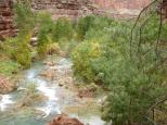 [Havasupai Creek]