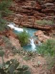 [Cactus, cliff, and water]