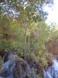 [Top of Navajo Falls]