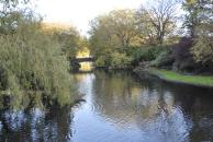 [Pond at St. Steven's Green]