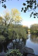 [Pond at St. Steven's Green]