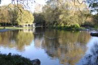 [Pond at St. Steven's Green]