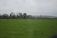 [Ireland countryside by train]