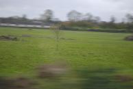 [More countryside by train]