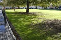 [Well maintained grounds at Trinity College]