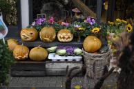 [Halloween pumpkins in Galway]