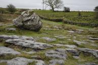 [Glacial erratic rock]