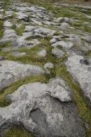 [Rocky ground in the Burren]