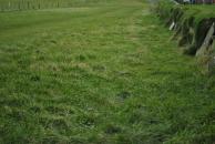 [Grass and stone wall near castle]