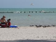 [Key West beach and seagulls]