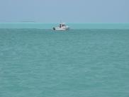 [Boat in the water, Key West]