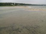 [The Lagoon pond and lobster hatchery]