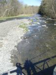 [Footbridge over Fall Creek]