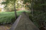 [Worm's Eye View of the Bridge Railing]