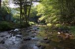 [Campsite next to Seneca Creek]