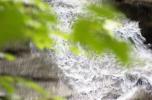 [Close up of Falls in focus, leaves not]