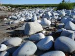 [Rocks at Kejimkujik]