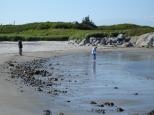 [Beach at Kejimkujik]