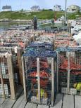 [Lobster traps in Peggy's Cove]