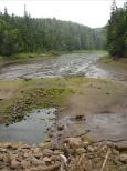 [Upstream of Halls Harbor (right)]