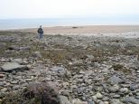 [Jen in Digby at low tide]