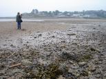 [Jen in Digby at low tide]