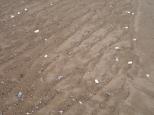 [Low tide in Digby]