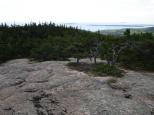 [The trail up Cadillac Mountain]