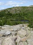 [Pond in the middle of Cadillac Mountain]