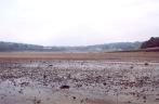 [Annapolis Basin at Digby at low tide]