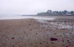 [Annapolis Basin at Digby at low tide]