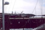 [On the dock at Lunenburg]