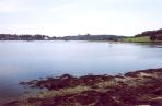 [The harbor at Lunenburg]