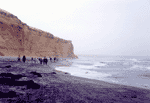 [Paracas Beach]