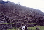 [Still More Inca Terracing at Huiay Huayna]