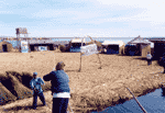 [The Floating Island of Uros]