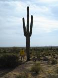 [Dan next to a big cactus]