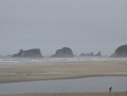 [Cannon Beach]