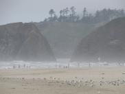 [Cannon Beach]