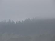 [Foggy hillside]