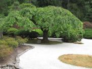 [Japanese sand garden]