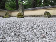 [Low view of rock garden]