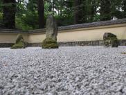 [Low view of rock garden]