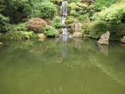 [Japanese garden pond and waterfall]