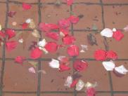 [Rose pedals in the fountain]