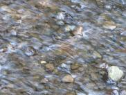 [Stones in the stream by Horsetail Falls]