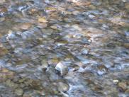 [Stones in the stream by Horsetail Falls]