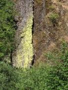 [Close up of green rocks by the falls]