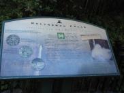 [Multnomah Falls sign]