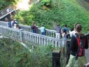 [Multnomah Falls Bridge]